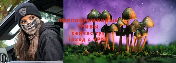 прущий лед Михайловск